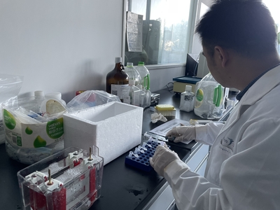 解碼兔輔肌動蛋白α2（ACTN2） 從細胞骨架到疾病研究的全能分子